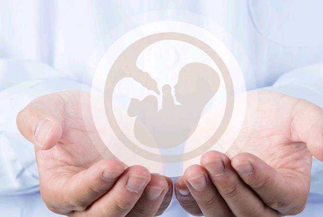 俄罗斯供卵价格,男性精子畸形率高能做试管婴儿