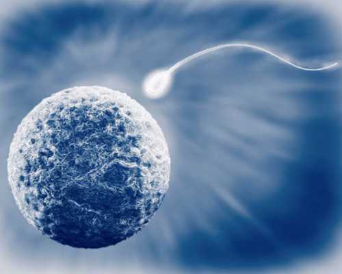 兰州大学生供卵,阴道B超监测是试管婴儿监测排卵