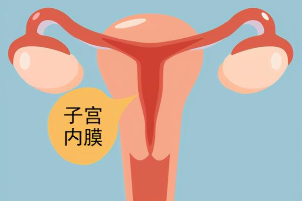 泰国试管婴儿卵子不好能成功吗,【泰国试管婴儿】子宫肌瘤影响做试管婴儿吗