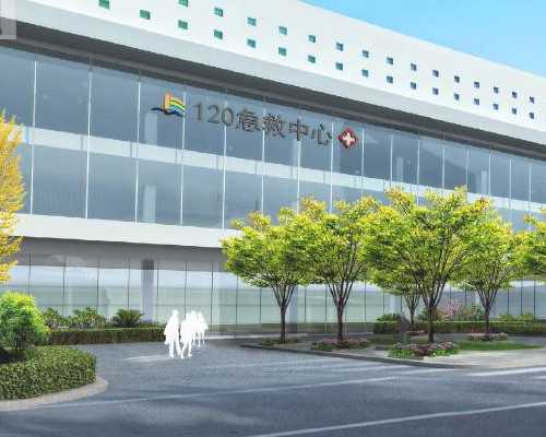 6细胞3级胚胎成功率，6细胞3级胚胎养囊成功几率,代生男孩