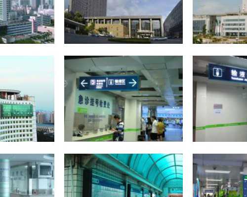 胚胎发育：生命最初的模样