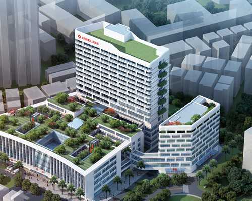 高龄供卵试管婴儿_供卵试管中介,日照三代试管供卵包性别qg,东营三代试管供卵