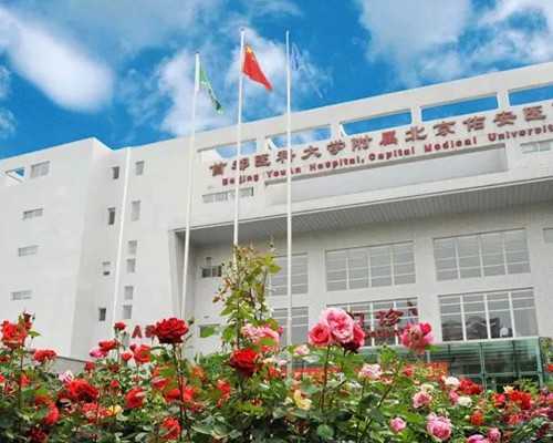 金贝供卵成功率_正规供卵试管婴儿,北海供卵试管费用是多少,供卵试管的费用应