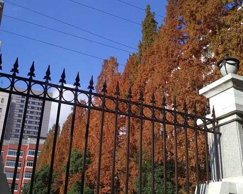 卵泡不成熟影响做辅助生殖么？,三代代生机构