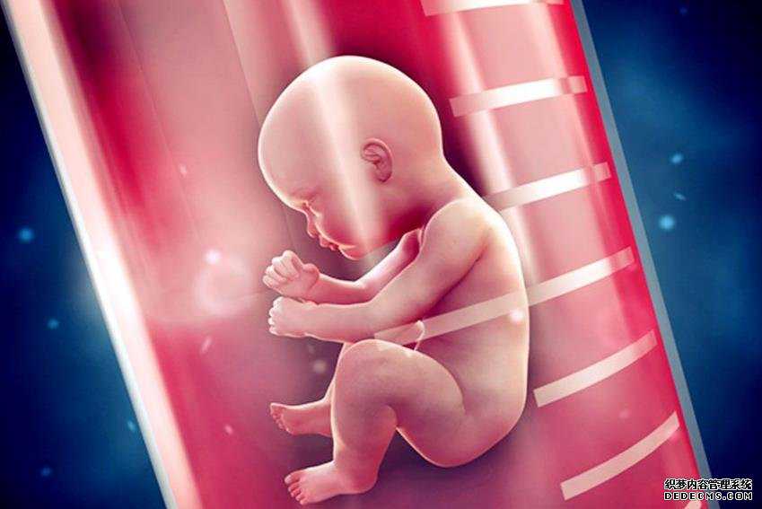 供精是试管还是人工授精_供卵试管婴儿对子宫要求_单身妈妈做试管生下混血宝
