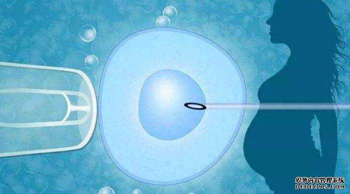 试管婴儿筛选性别_贵阳做试管婴儿可以选性别吗_8673m_胚胎胶是什么意思？有什
