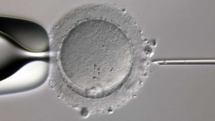 试管婴儿双胞胎性别选择_怎样借卵做试管婴儿_什么是生化妊娠 生化妊娠后应该